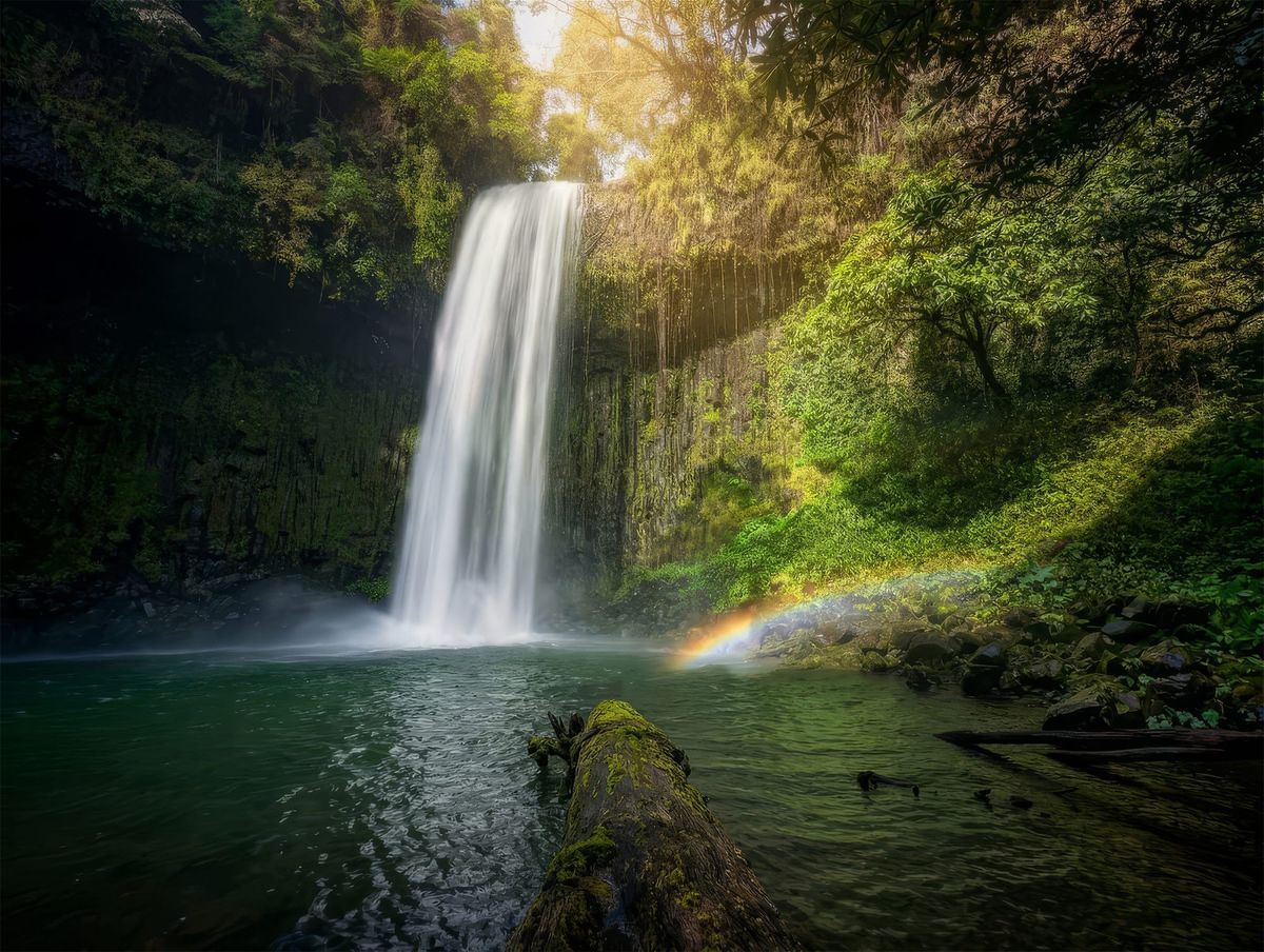 Wooroonooran Waterfall Way - Trip Report