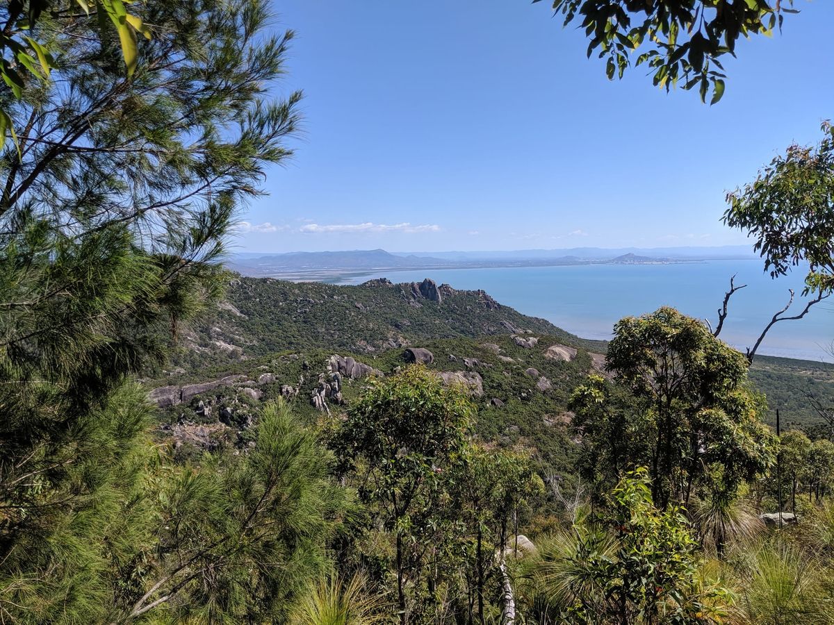 Mt Cleveland loop - Trip Report