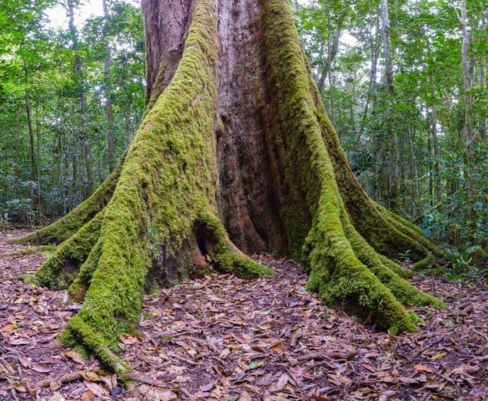 Paluma Dam to Paradise Waterhole