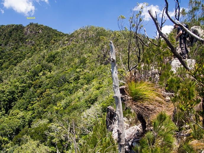 Go Walking: Mount Halifax