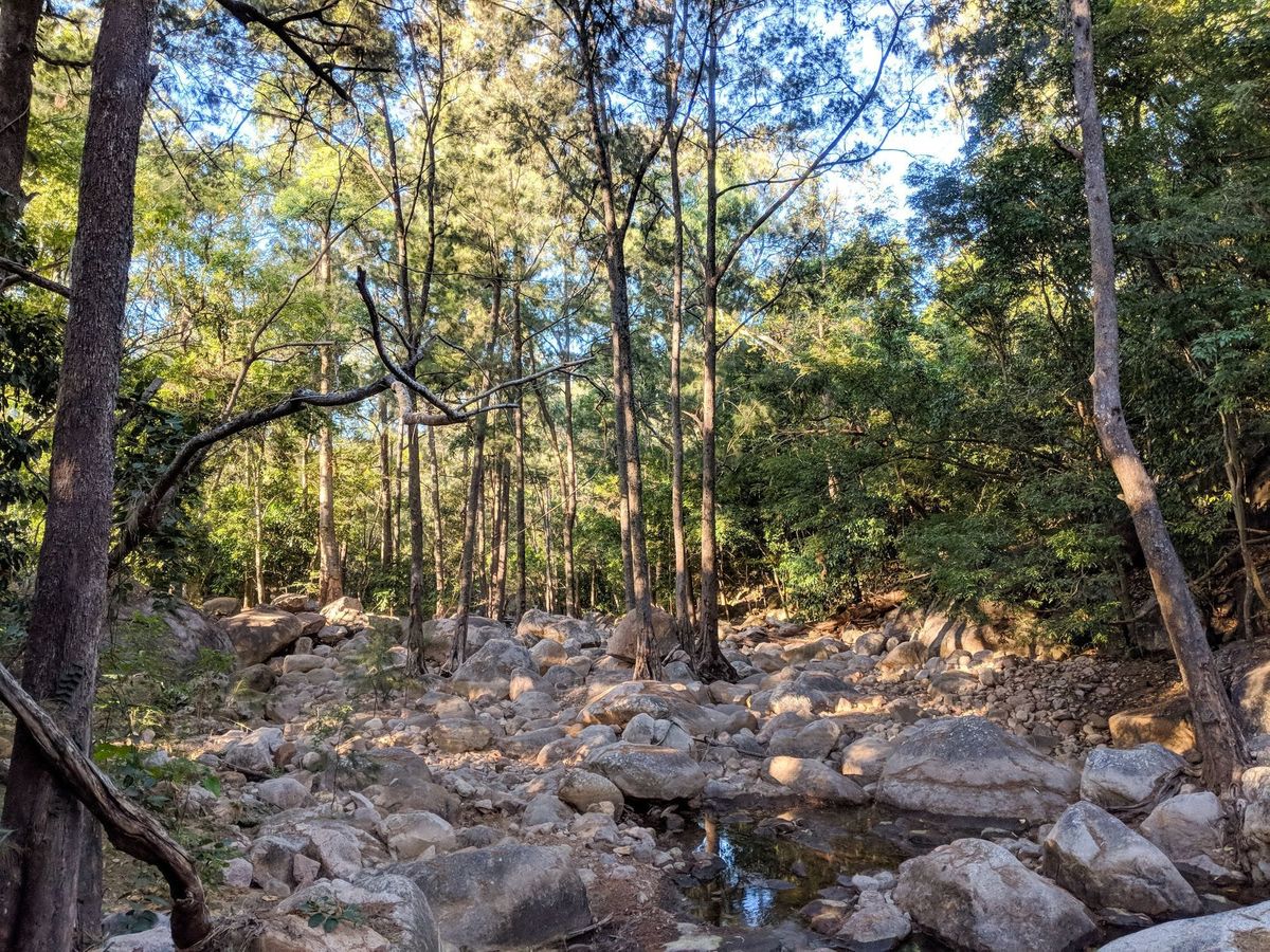Cockatoo Creek - Trip Report