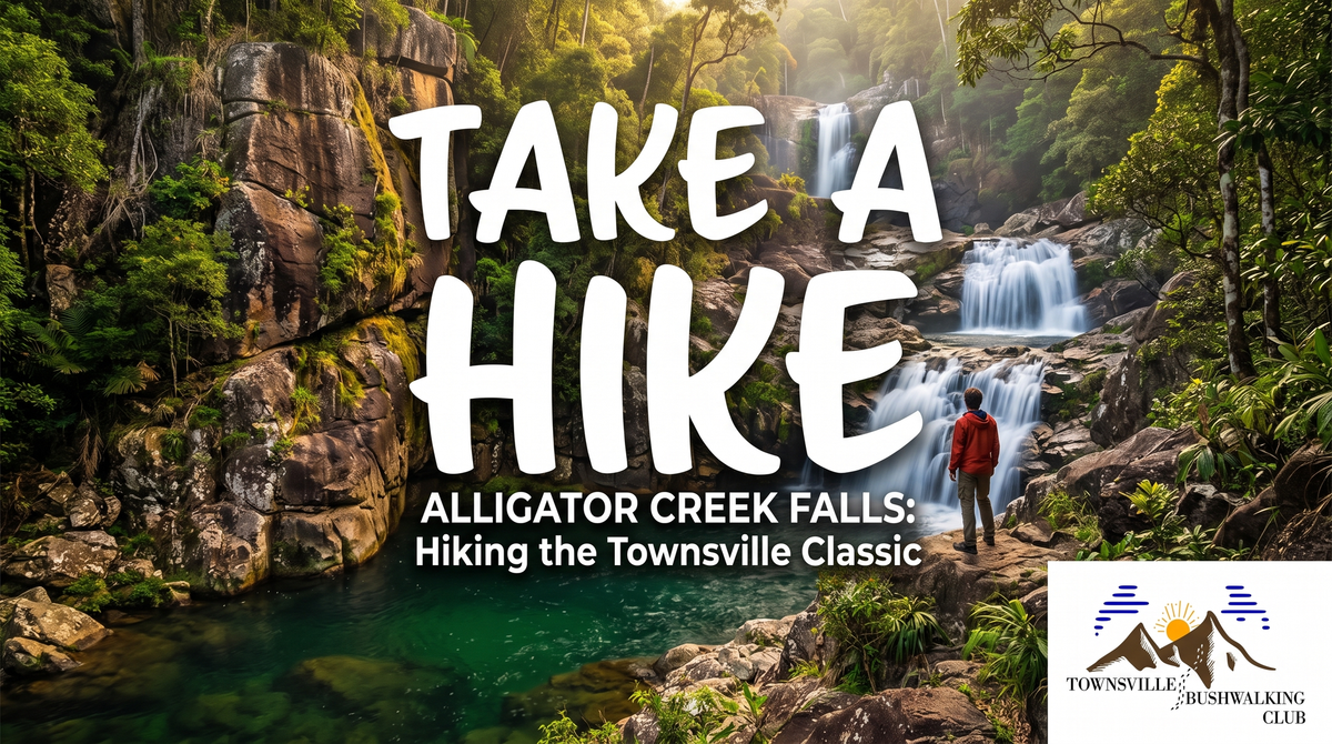 Alligator Creek Falls: Hiking the Townsville Classic