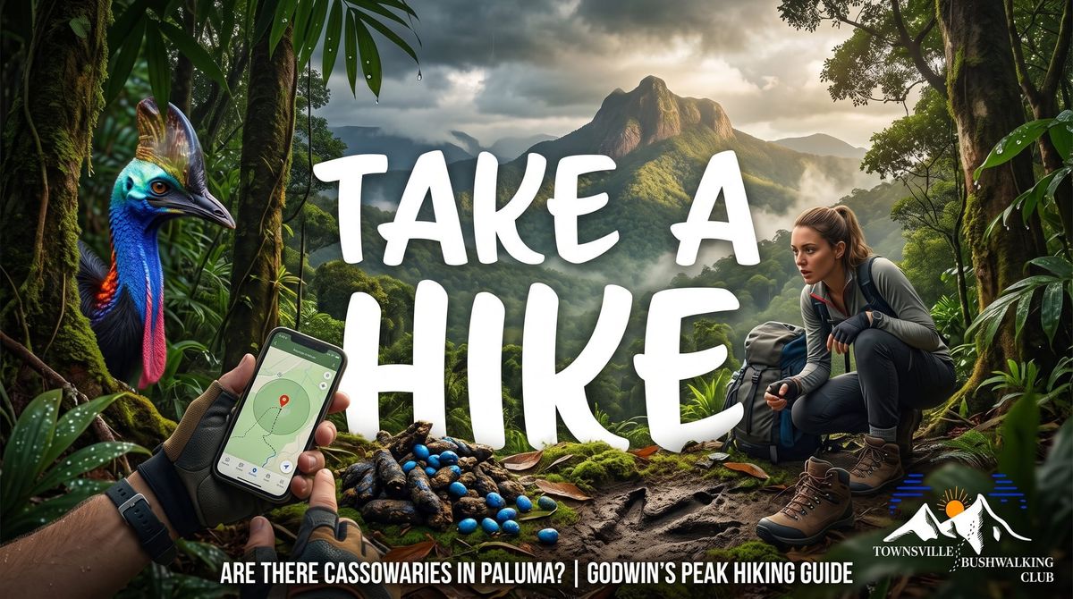 Are There Cassowaries in Paluma & Godwin's Peak?