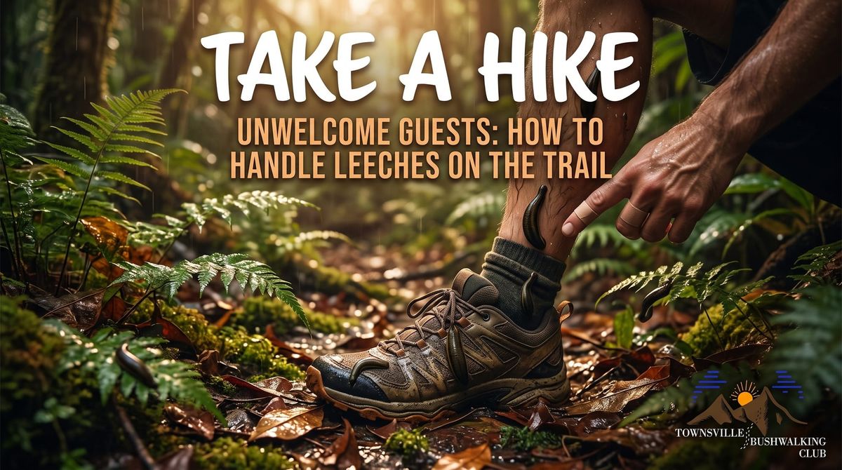 Unwelcome Guests: How to Handle Leeches on the Trail