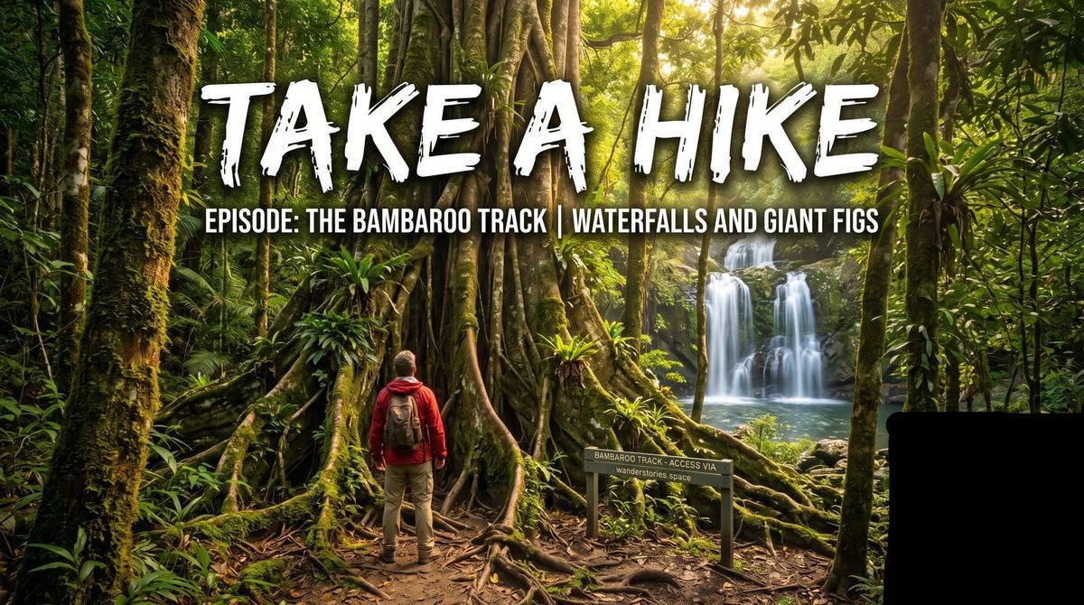 Explore the Bambaroo Track: Waterfalls and Giant Figs
