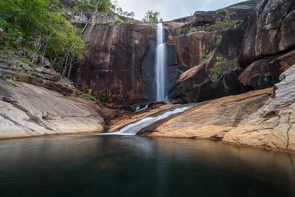 Newsletter June 2019