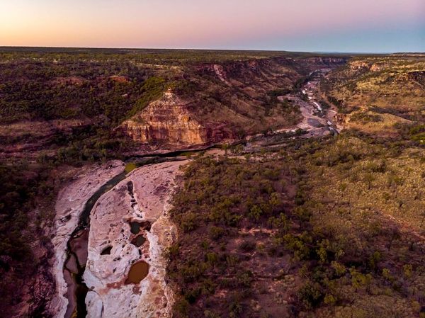 Newsletter - February 2022