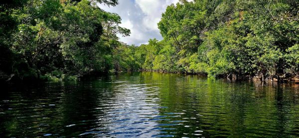 Alligator Creek Falls - Trip Report