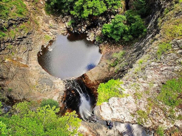 Upcoming June 2022 Bushwalks
