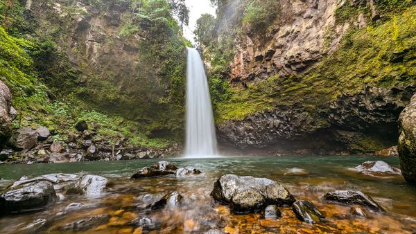 What's On in August? - A Lot!