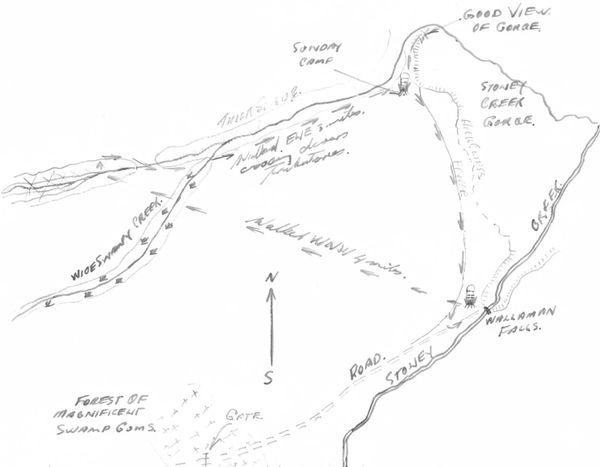 Wallaman Falls. Walk Report.