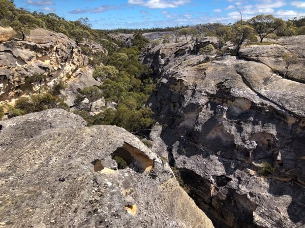 Canns Creek Section (again)