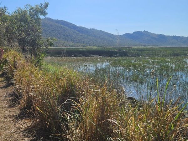 September walks with TBC