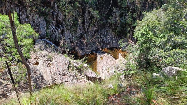 Blue Gum Circuit, Paluma - Trip Report