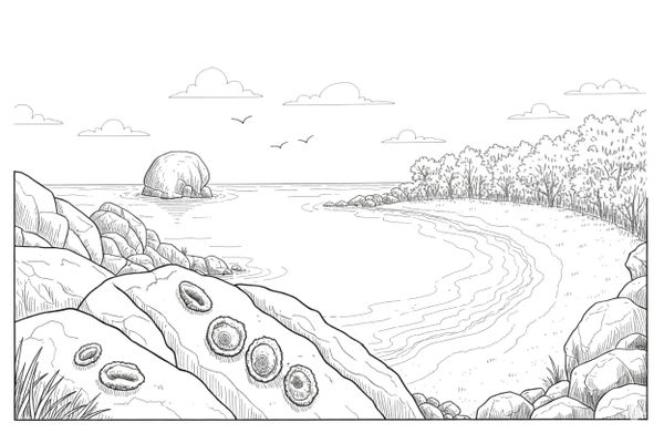 Chunda Bay (Ticklebelly)