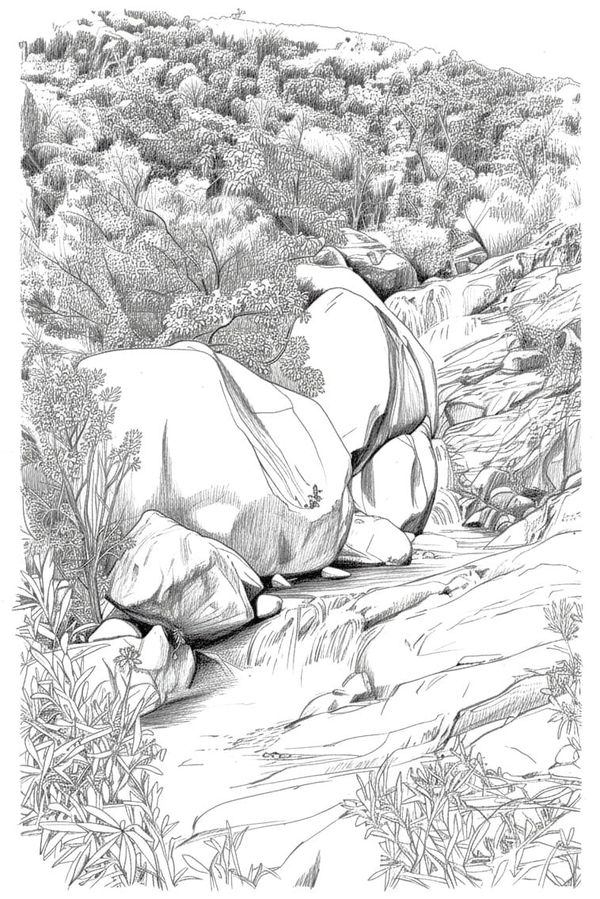 Cloudy Creek (Also known as Ethel Ck.)