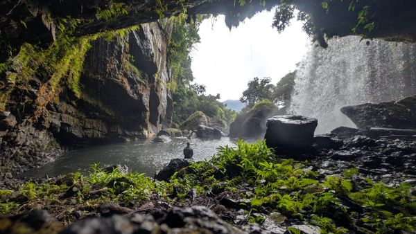 November Newsletter 2025