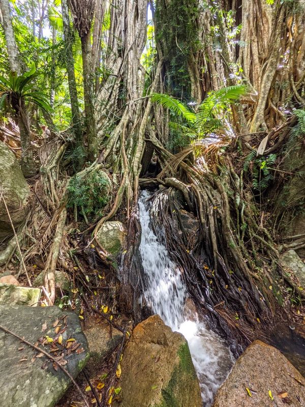 January Newsletter 2026