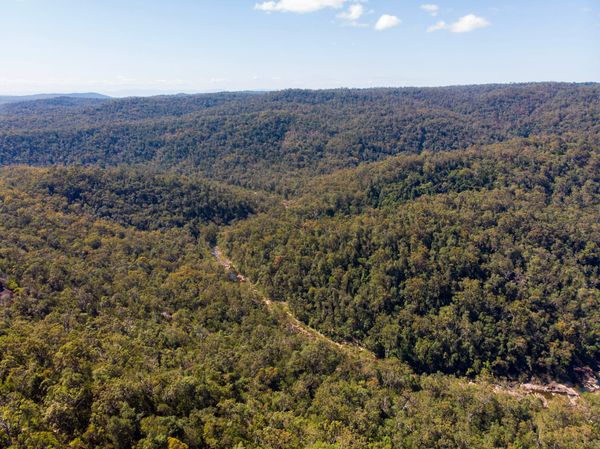 Exploring the K-Traverse logging road network - Trip Report