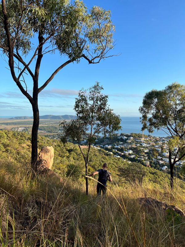 Ladies' Track Route, Castle Hill - Trip Report
