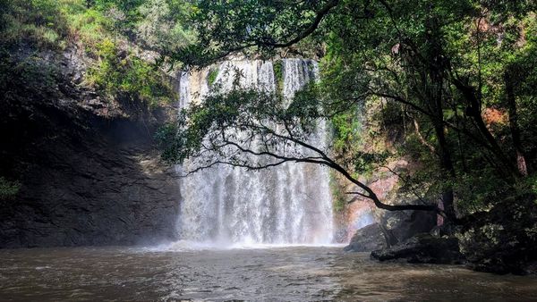 March Newsletter 2026