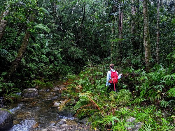 Double Barrel Creek to Crystal Creek - Trip Report