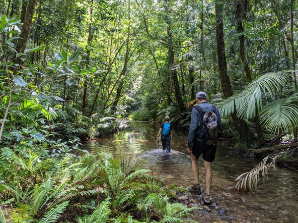 Big Birthday to Little Birthday Creek Loop via Stinky Creek - Trip Report