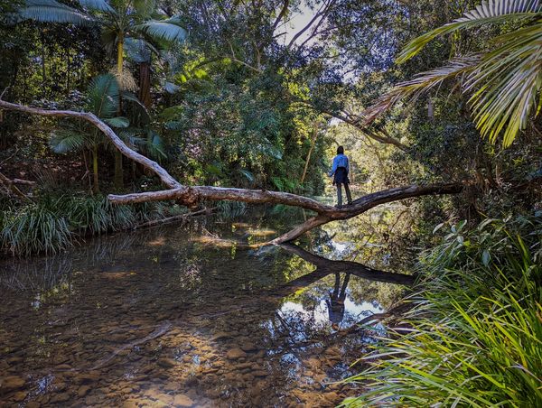 Bluewater Gorge - Trip Report