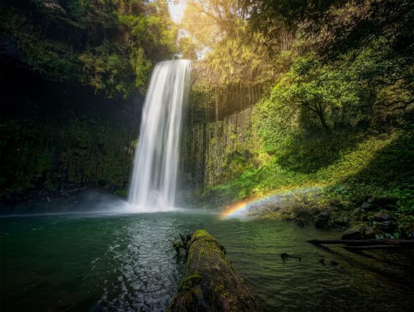 Wooroonooran Waterfall Way - Trip Report