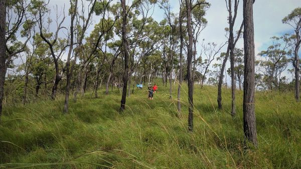 Dick Creek Falls, Mt Stuart - Trip Report
