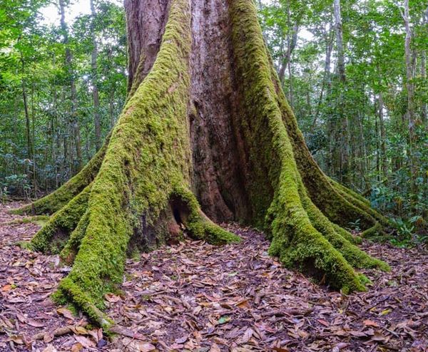 Paluma Dam to Paradise Waterhole