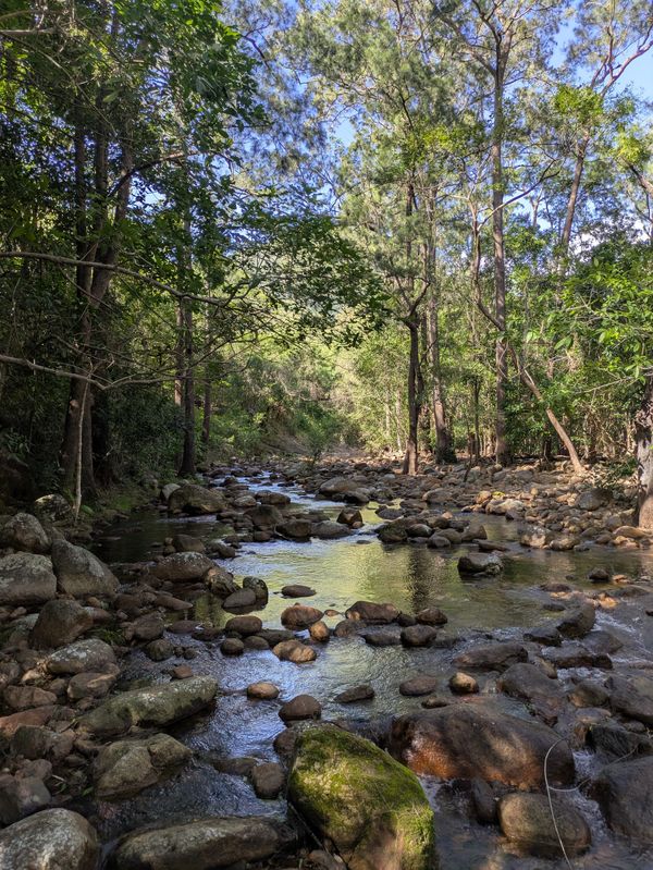 Cockatoo Creek Intro Walk - Trip Report