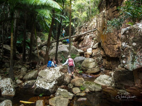 Hidden Falls 2017