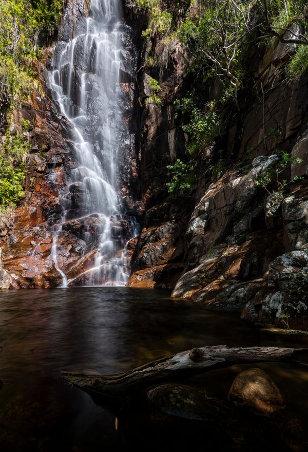 Hidden Falls 2020
