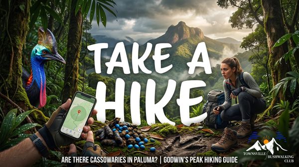 Are There Cassowaries in Paluma & Godwin's Peak?