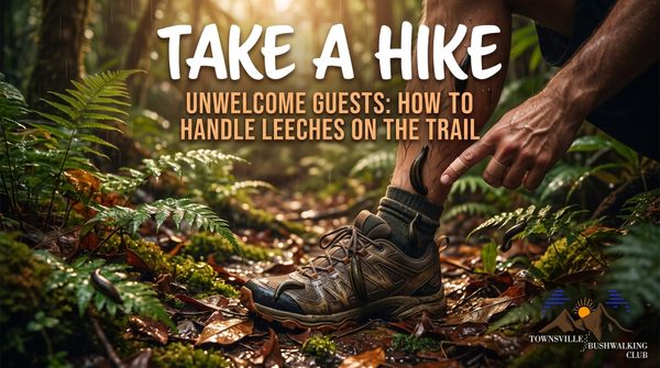 Unwelcome Guests: How to Handle Leeches on the Trail