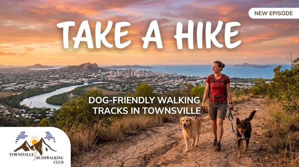 Dog-Friendly Walking Tracks in Townsville