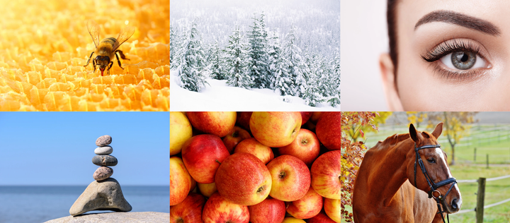 The Hidden Rhythm of Korean: Long vs. Short Vowels