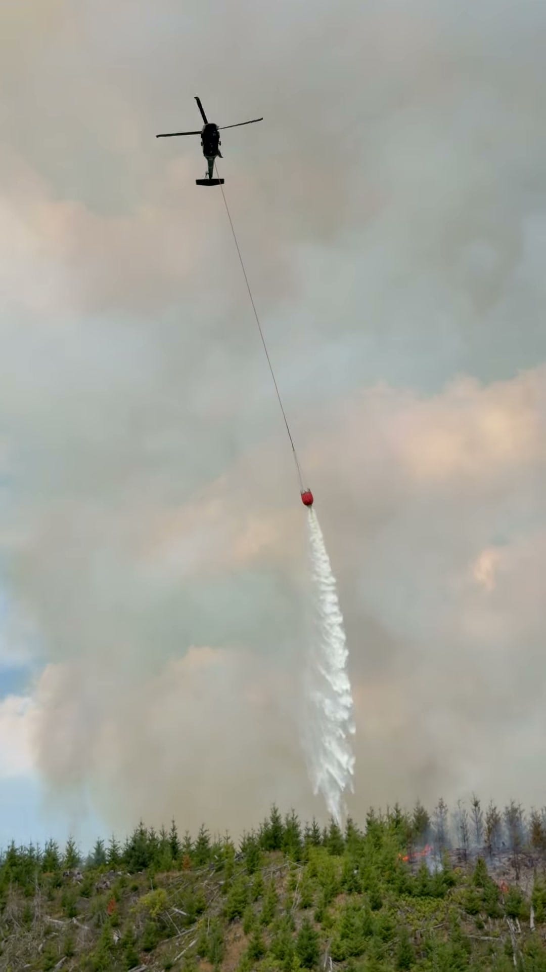 Wolf Creek Fire lined after dark, turned over to ODF