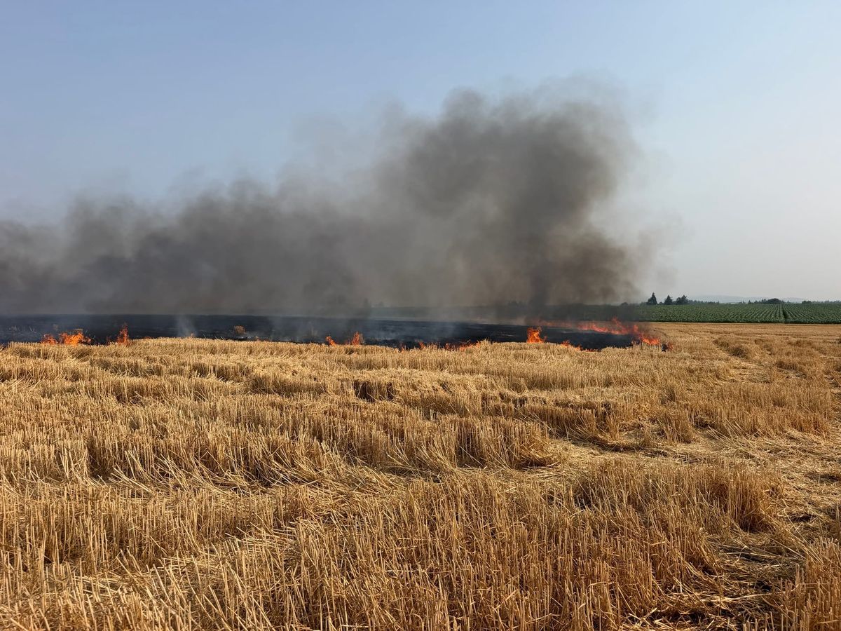 Field fire burns 5 acres of wheat stubble near Roy