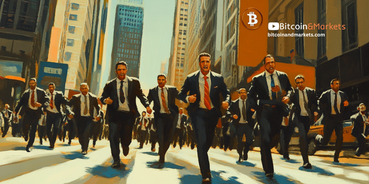 Bitcoin Fundamentals Report #317