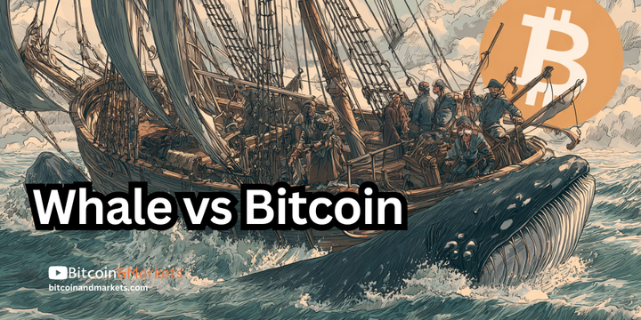 Whale Wars and Fed Shake Up