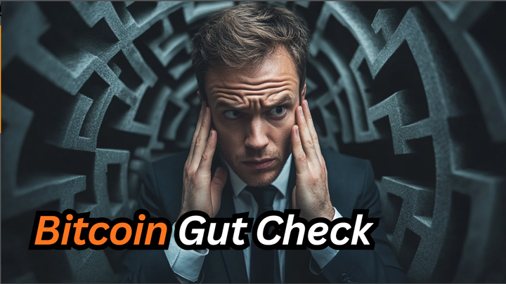 Bitcoin Gut Check