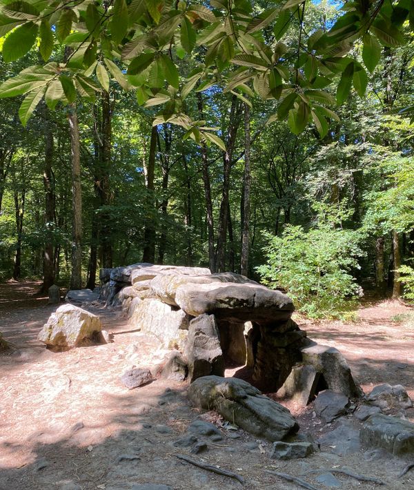 11. Visiting the Stone Age