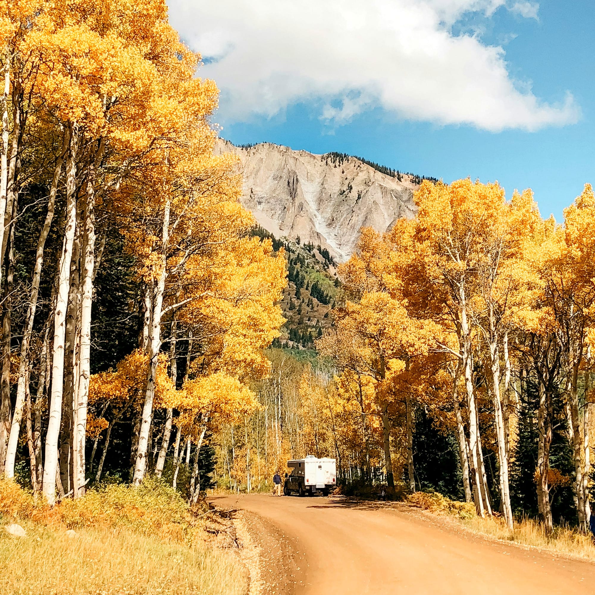 van surrounded by trees during daytime