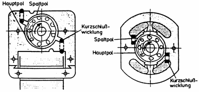 Querschnitt durch Spaltpolmotor
