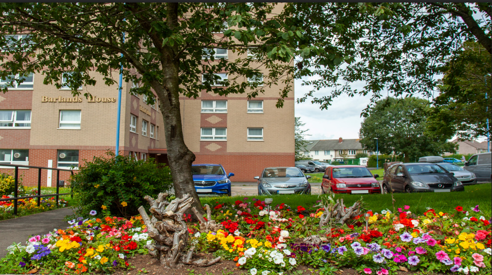 Are 2,194 of our Council Homes missing?