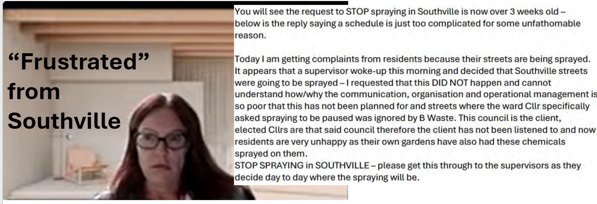 Southville Councillors - Democracy in Action