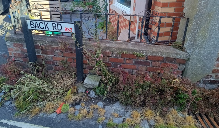 Bristol Weeding "Opt-Out" Update
