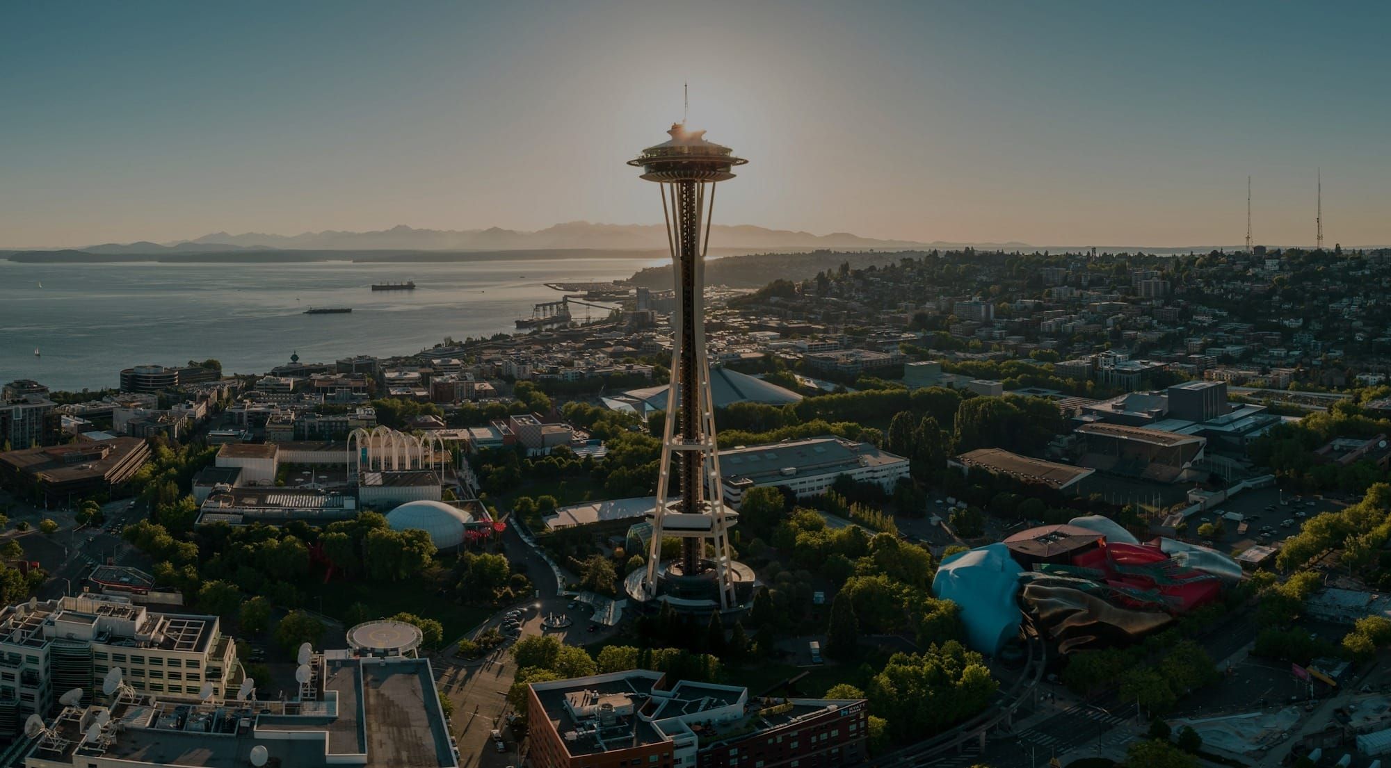 Irish Network Seattle